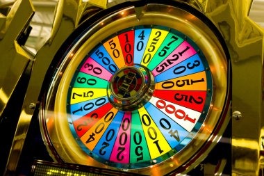 arta4d login What Makes Bingo Stand Out Here